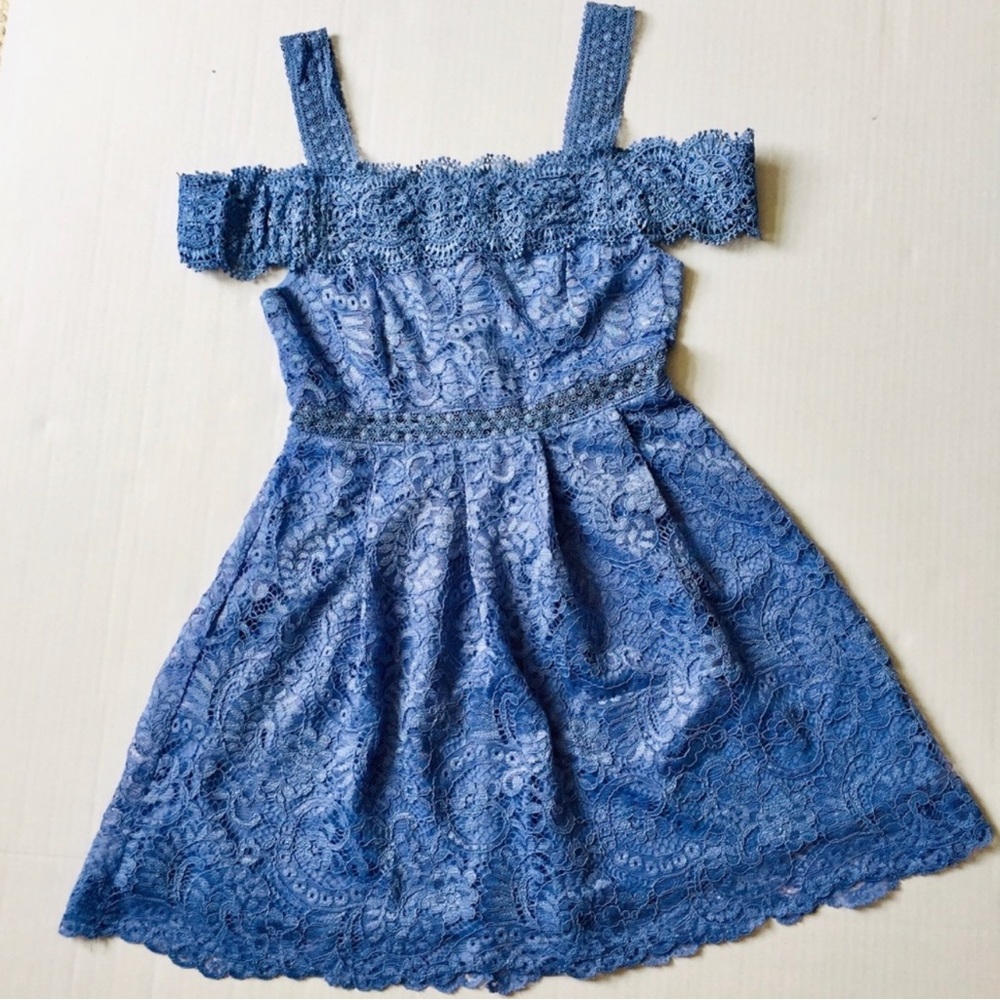 Francesca’s Lace Dress